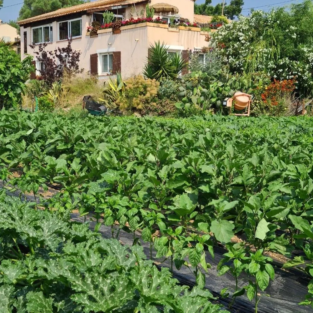 Beautiful Sea View, Quiet In Agricultural Property Antibes