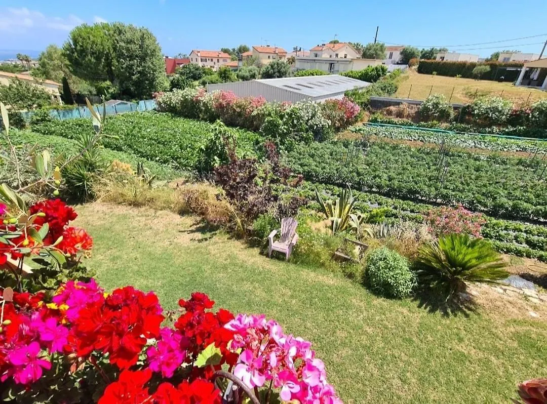 Beautiful Sea View, Quiet In Agricultural Property Antibes 0*,  France