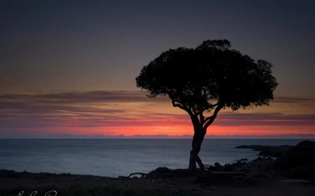 Beautiful Sea View, Quiet In Agricultural Property Antibes